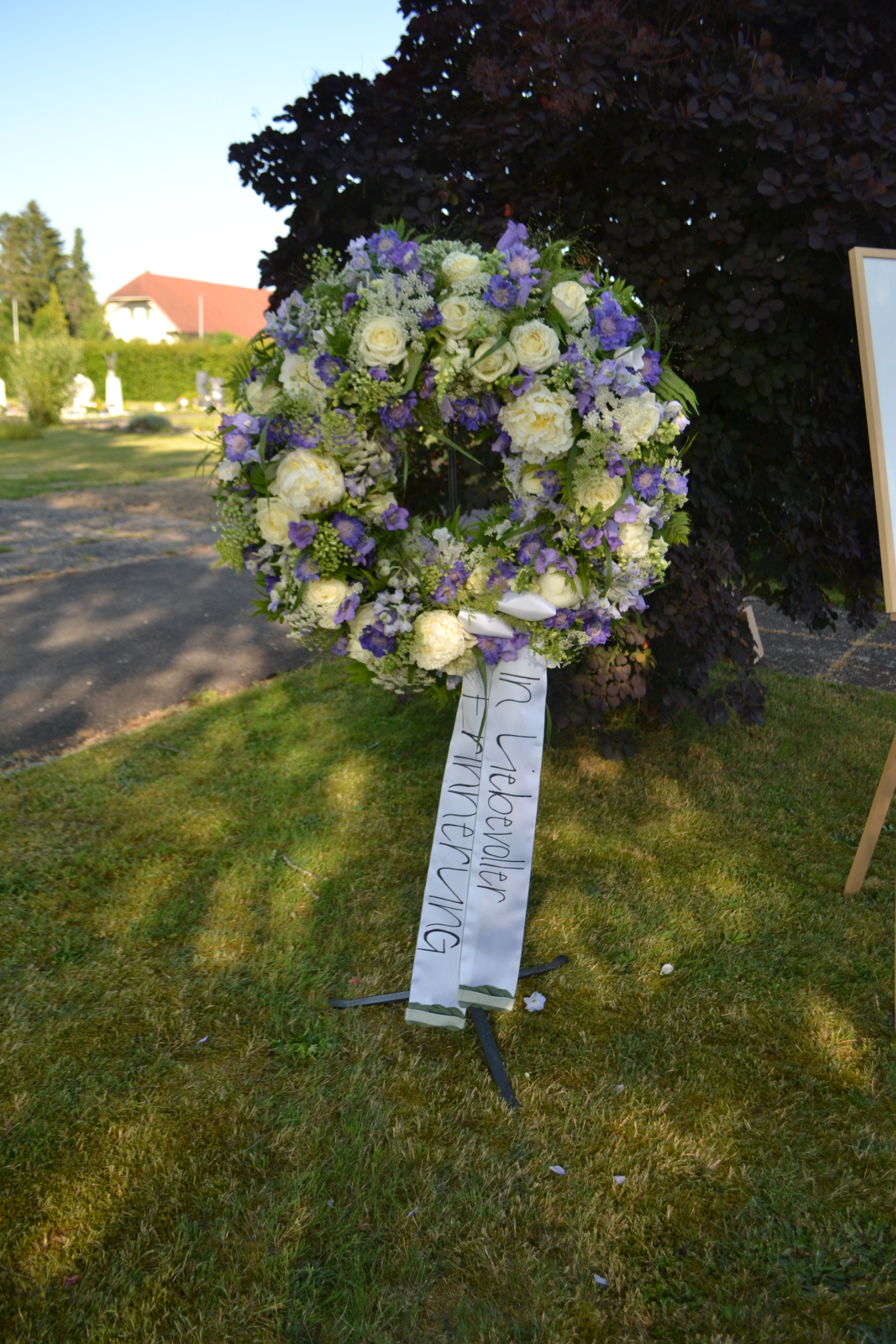 Bild 01 (5)